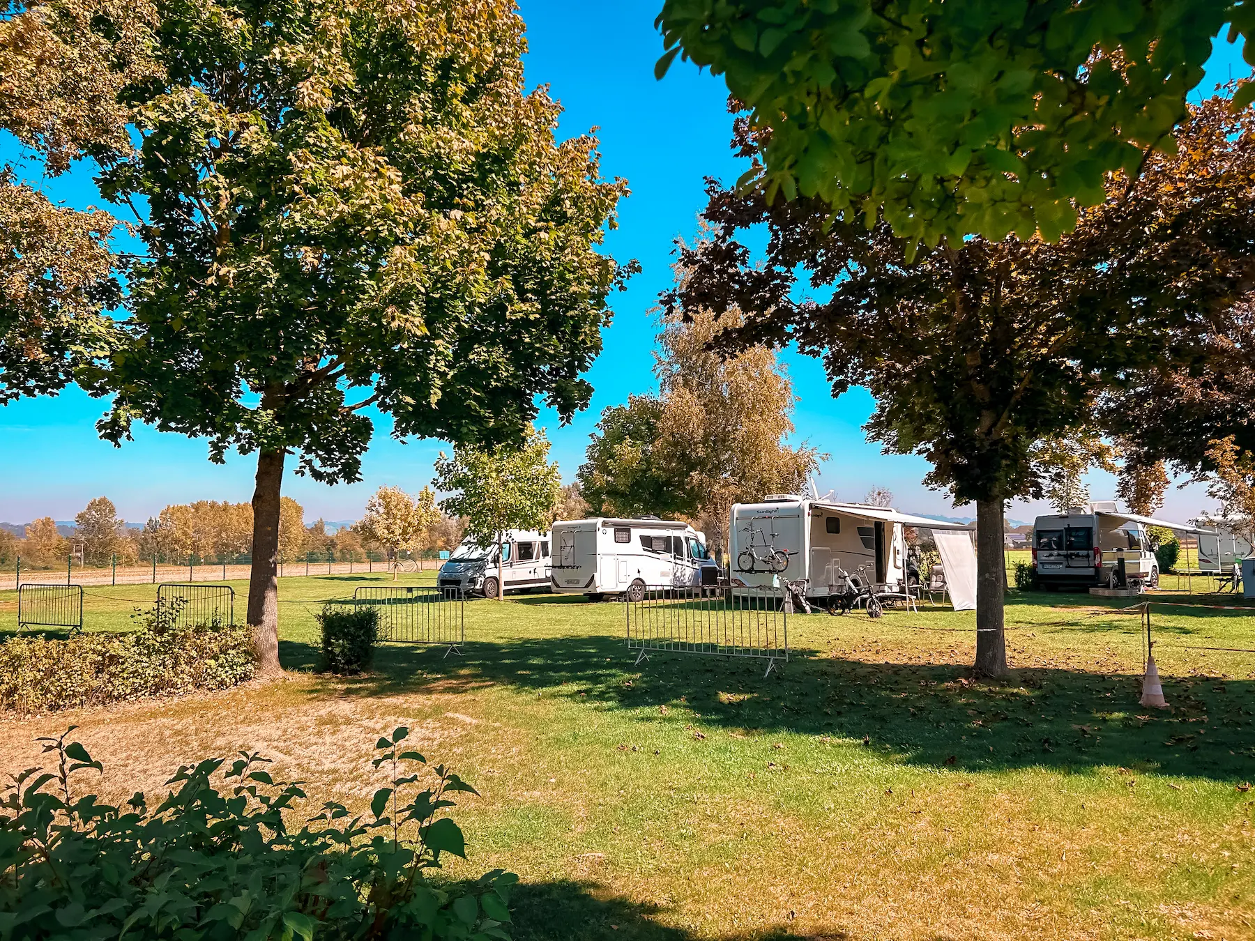 Campingfahrzeuge auf einer grünen Wiese unter Bäumen