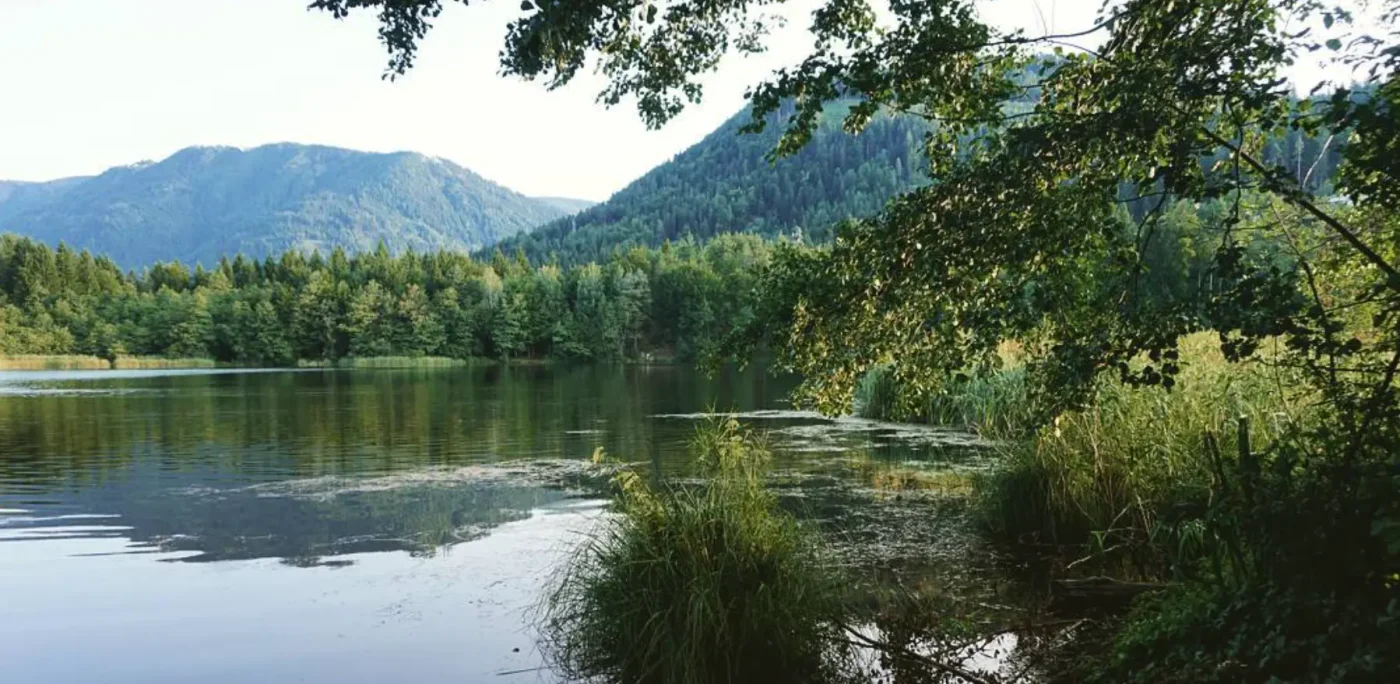 See am Camping Seehof