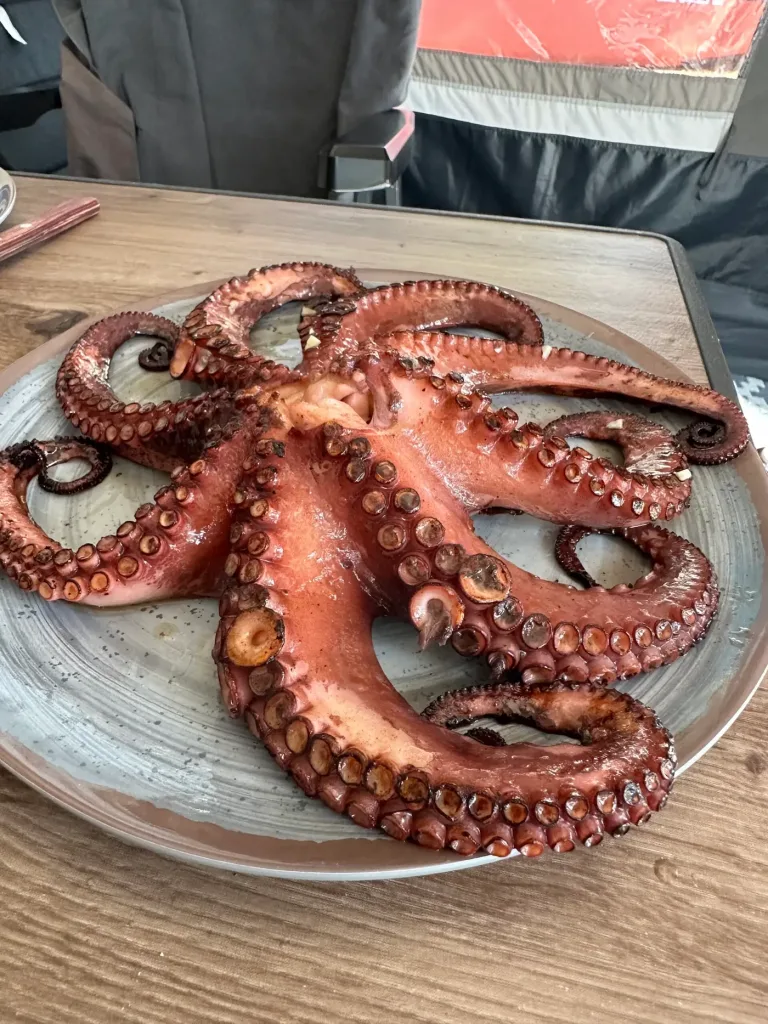 Selbstgegrillter Oktopus am Q1400 Weber Elektrogrill beim Camping