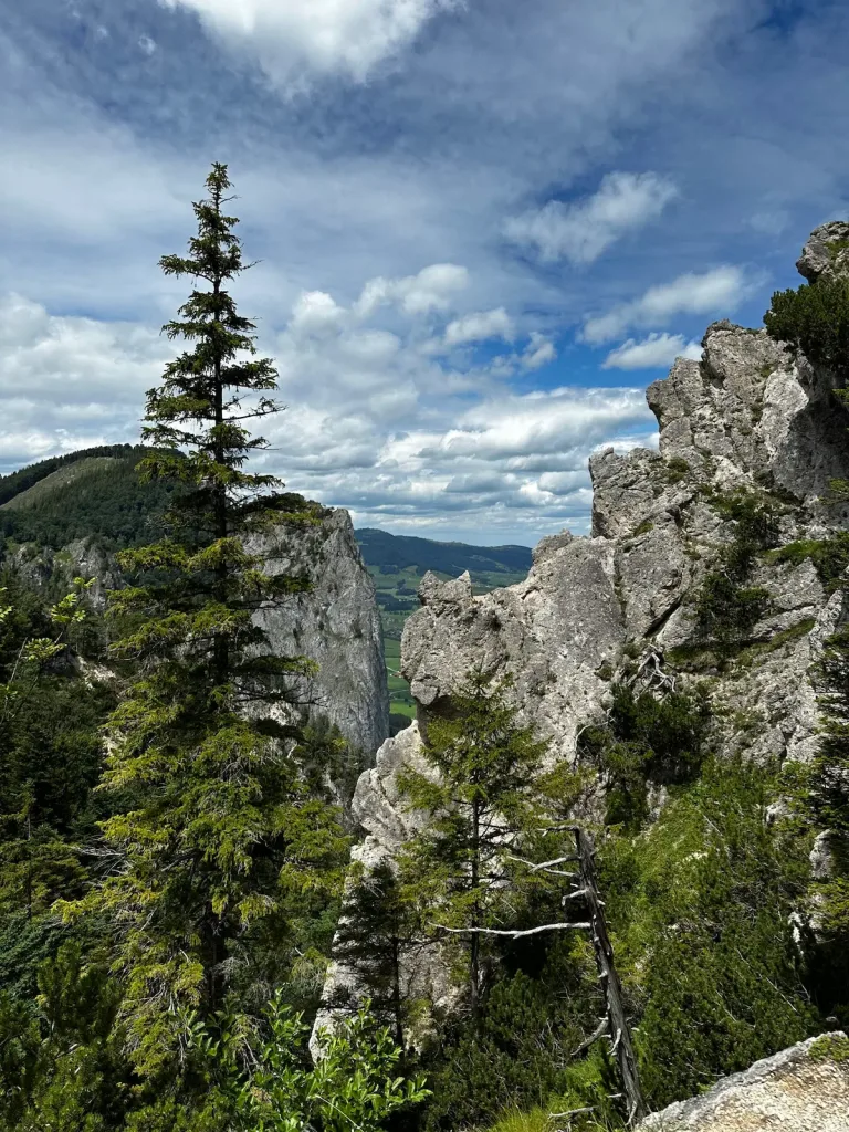 Wanderung auf den Almkogel