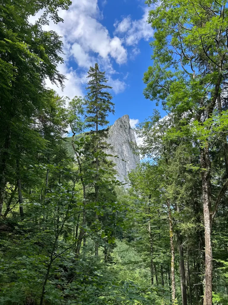 Wanderung auf den Almkogel