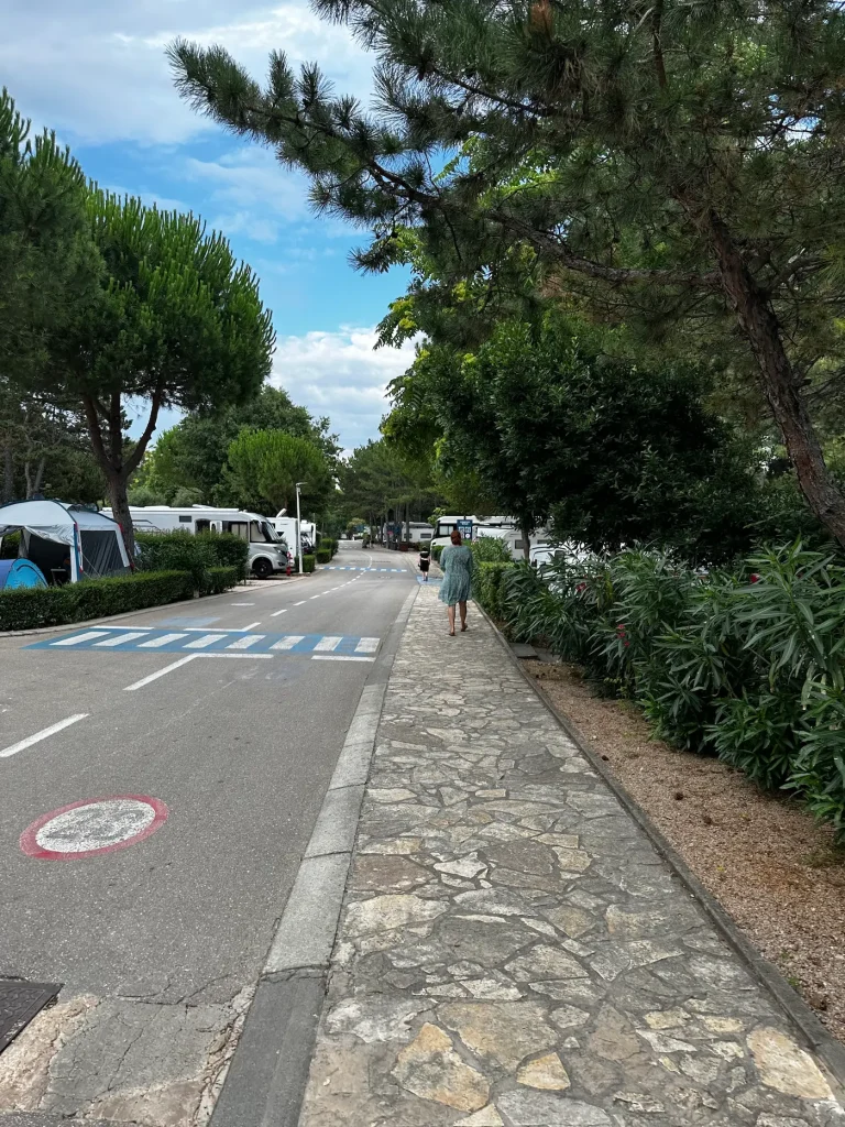 Straße am Valamar Camping Ježevac Krk: Schattige Stellplätze im Pinienwald, kurze Wege