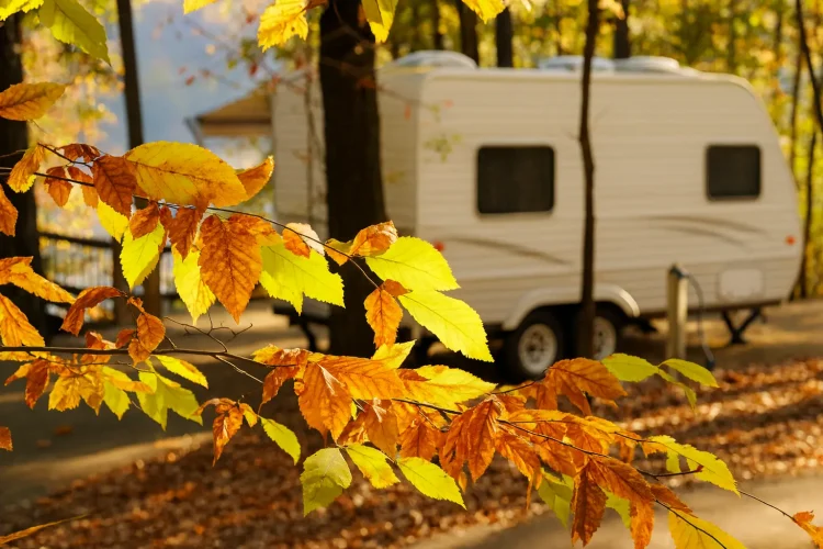 Camping mit Wohnwagen im Herbst: Unser Erfahrungsbericht (2025)