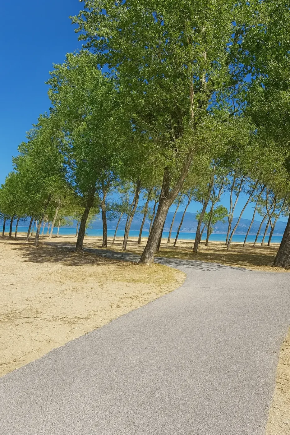 Sandige Stellplätze am Campingplatz San Marino in Lopar