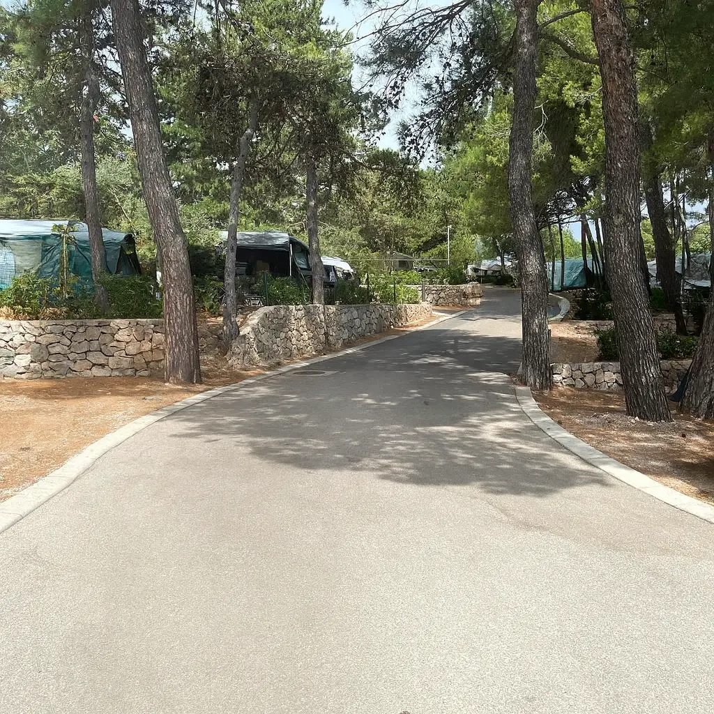 Stellplätze im Pinienwald am Valamar Camping Ježevac Krk