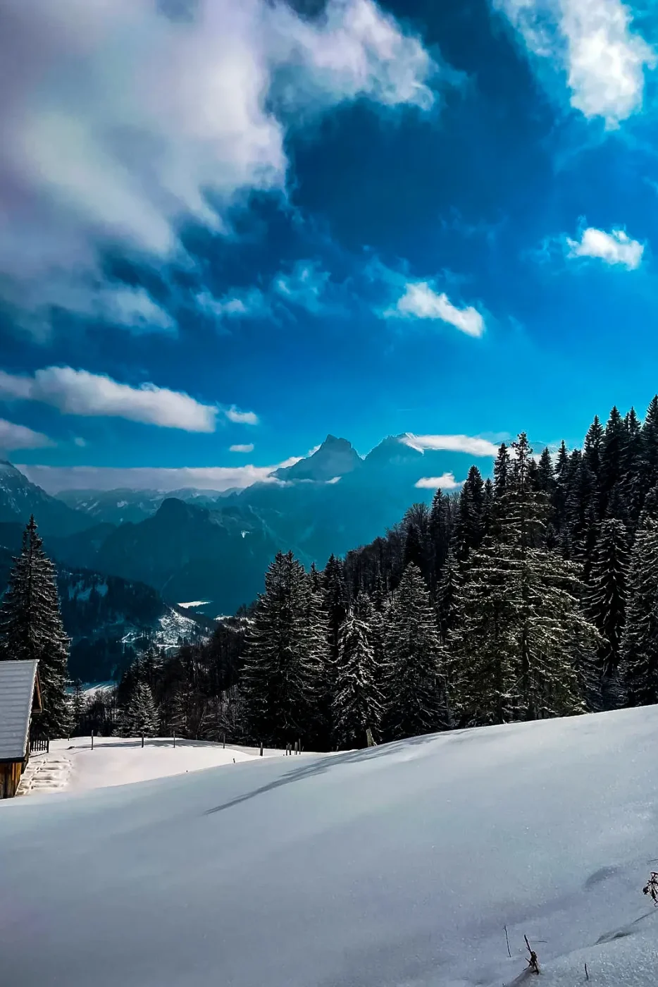Schneeschuhwanderung beim Wintercamping: Blick über einen verschneiten Hang und Berge im Hintergrund