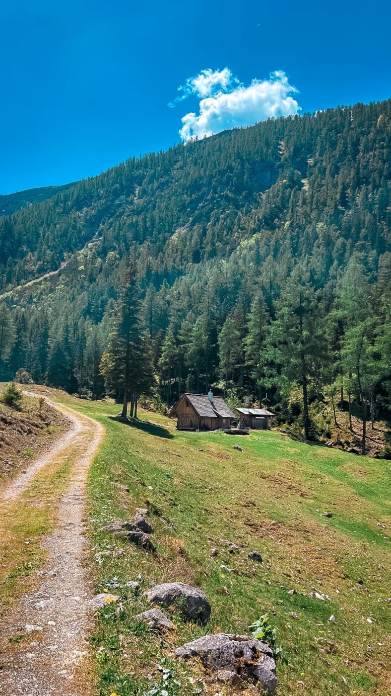 Auf der Mountainbikestrecke richtung Hutterer Böden