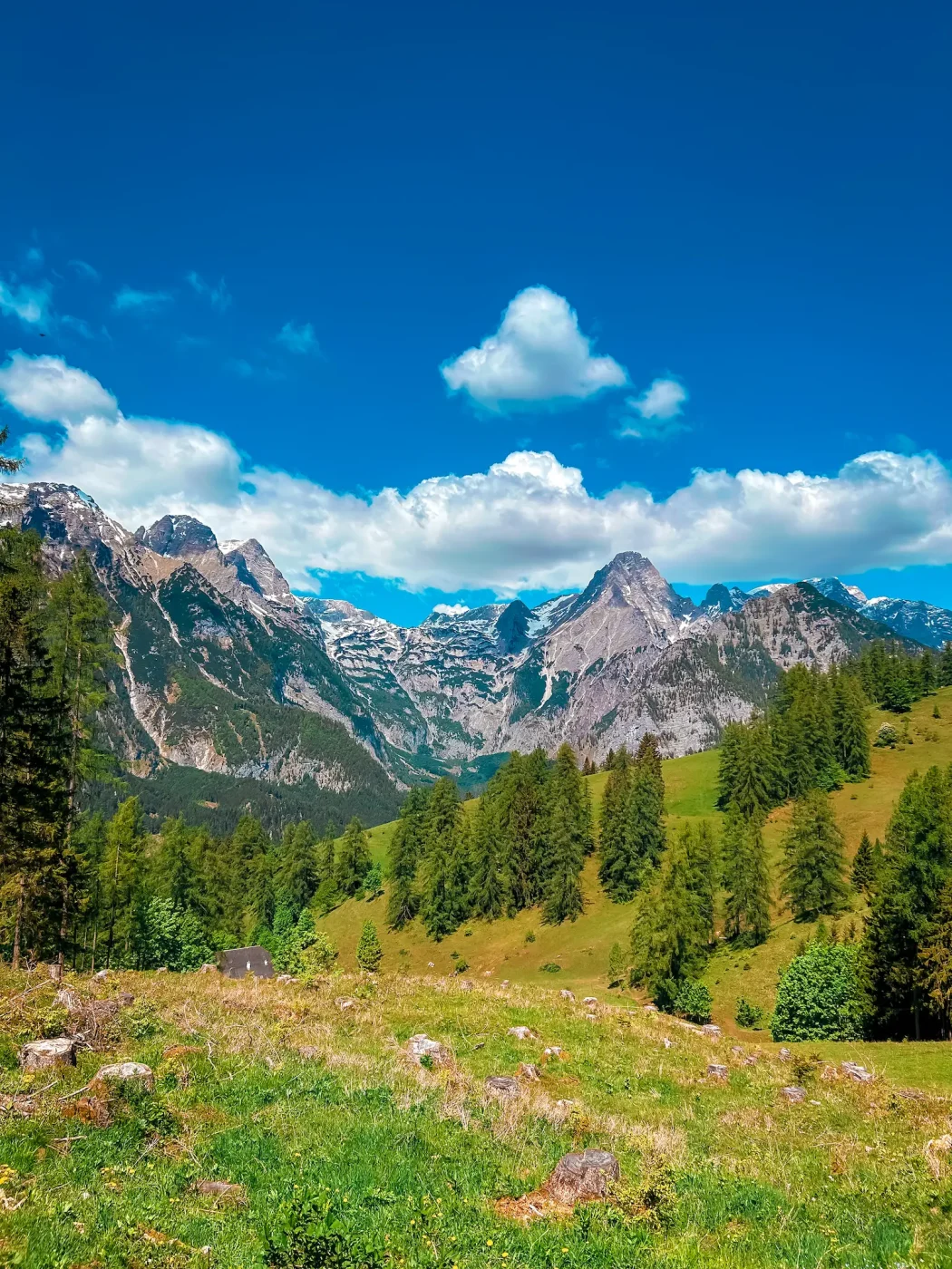 Blick auf die Berge von der Bärenalm aus