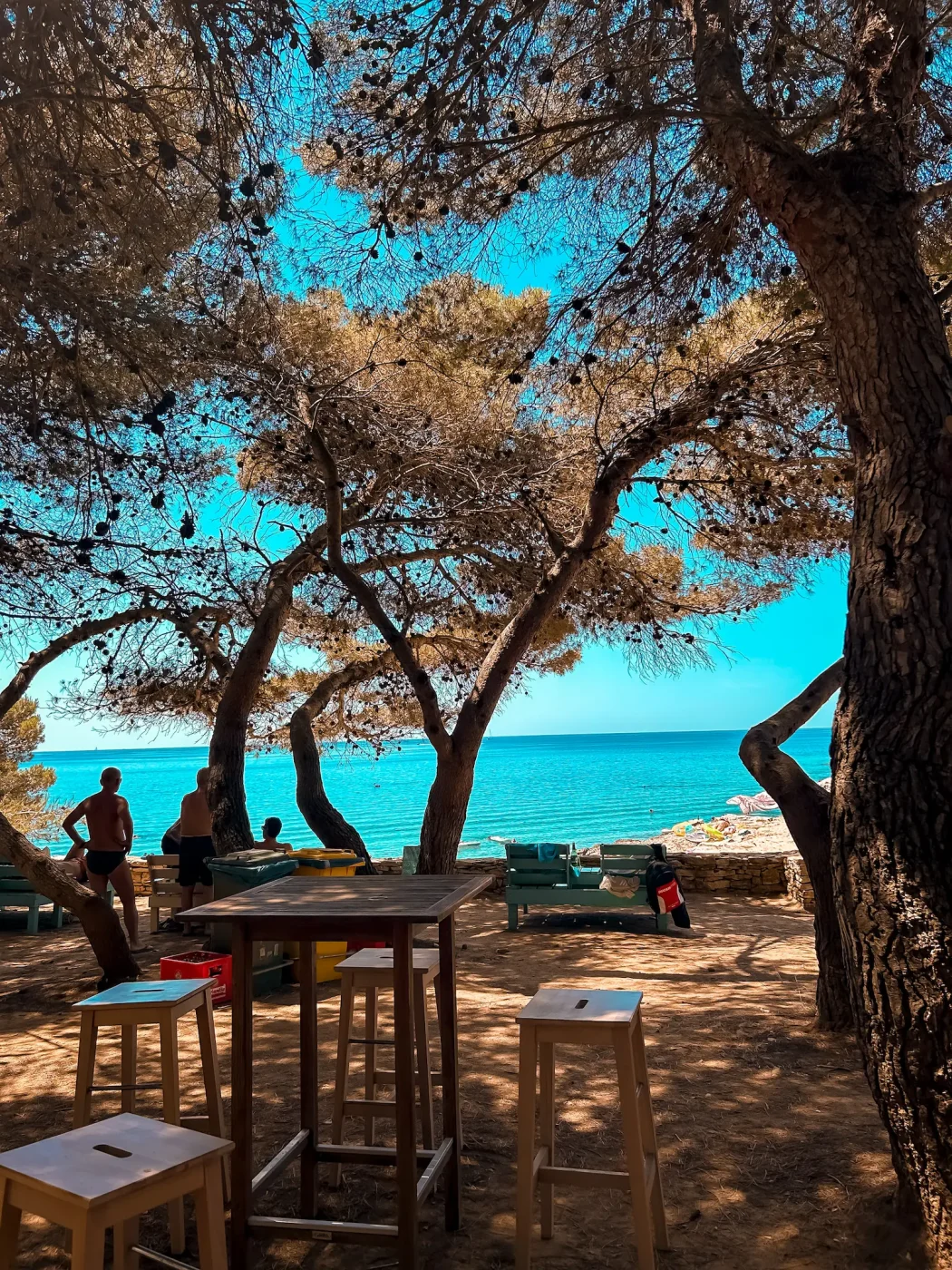Schattige Beachbar am Strand Njive im Kap Kamenjak mit Sitzplätzen unter Pinien und Blick auf das Meer