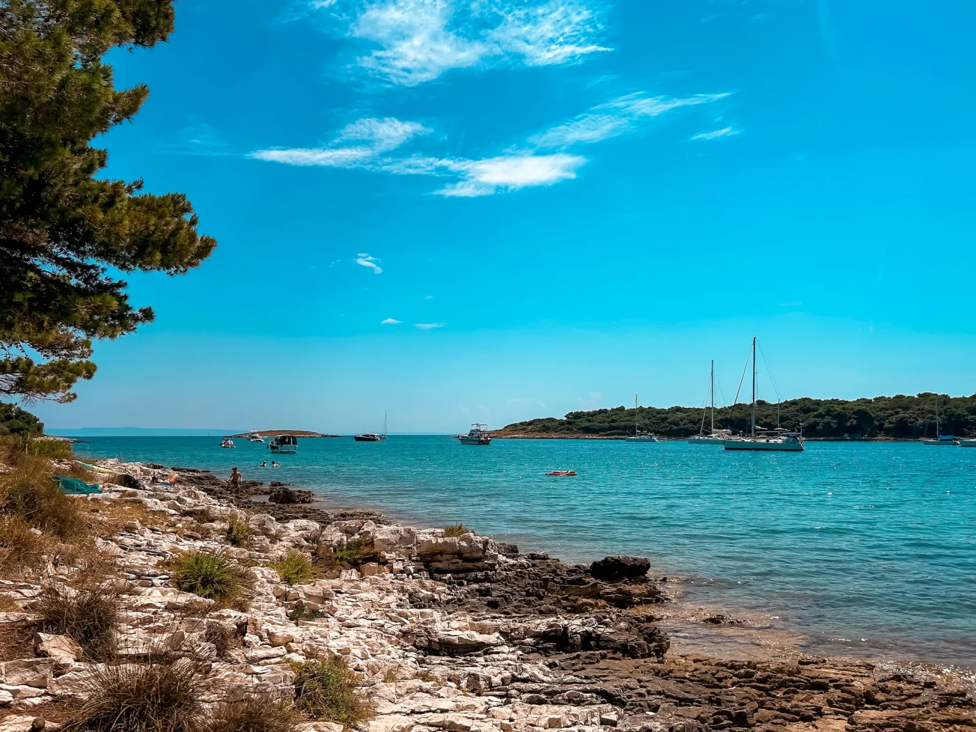 Felsige Küste an der Bucht Portić im Kap Kamenjak mit klarem Meer, Segelbooten und bewaldeter Landzunge