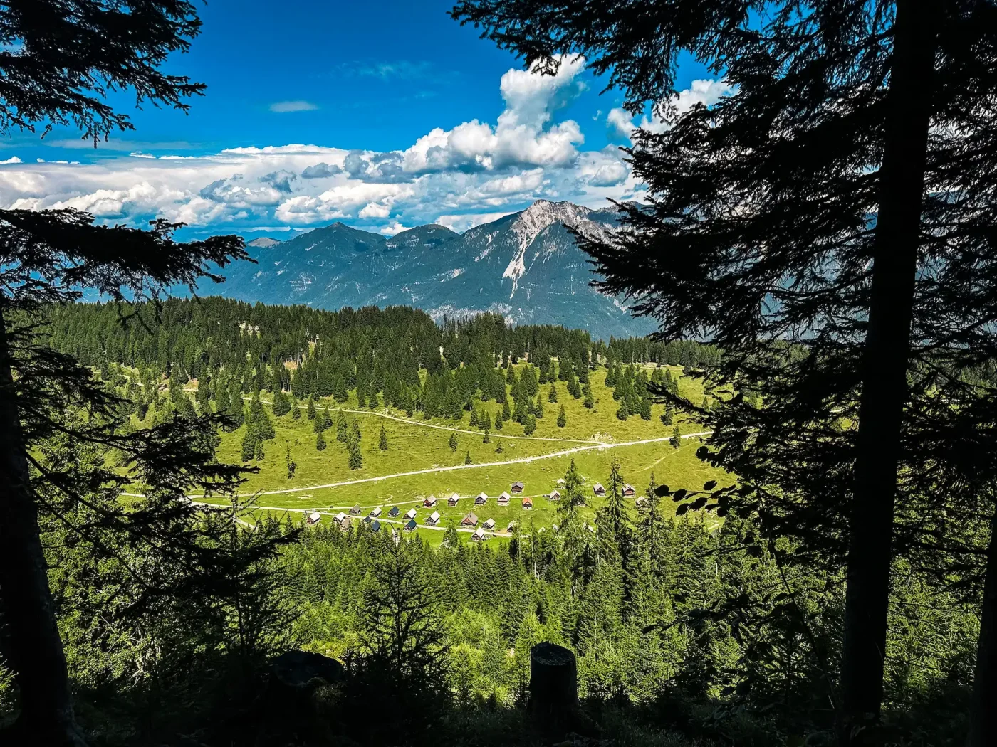 Blick auf die Dellacher Alm vom Anstieg in Richtung Poludnig Alm aus. Im Hintergrund hohe Berge.