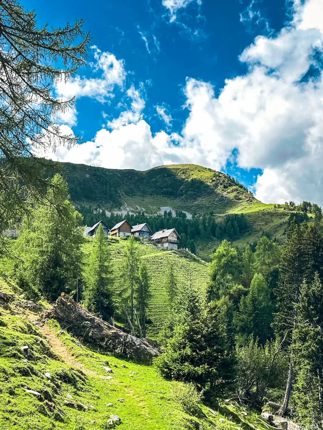 Blick auf die Poludnig Alm mit dem Poludnig Gipfel im Hintergrund.