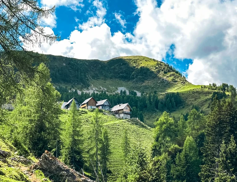 Wanderung auf den Poludnig von der Egger Alm aus