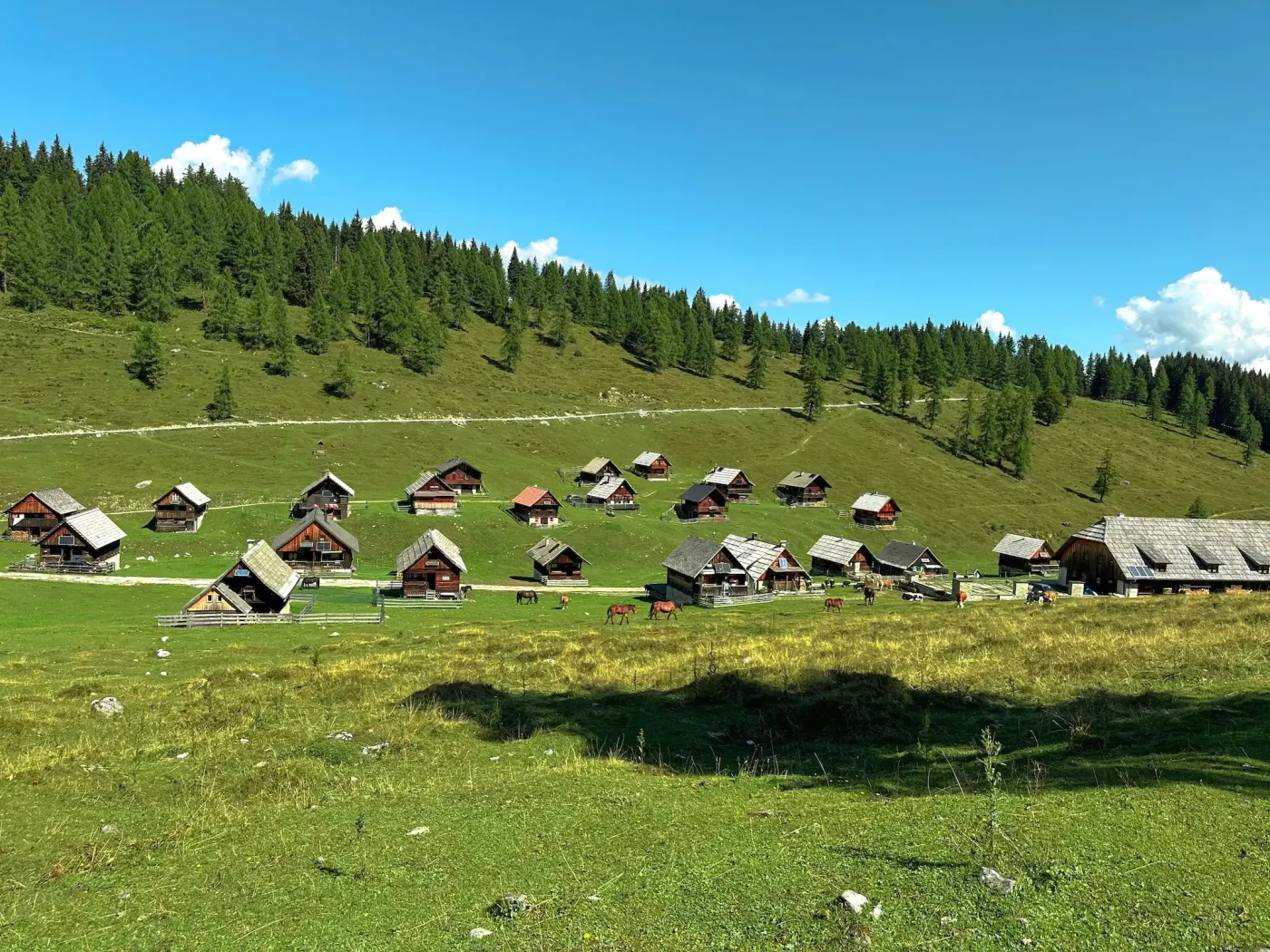 Direkt bei der Dellacher Alm: Blick auf die Alm mit Pferden und Kühen.