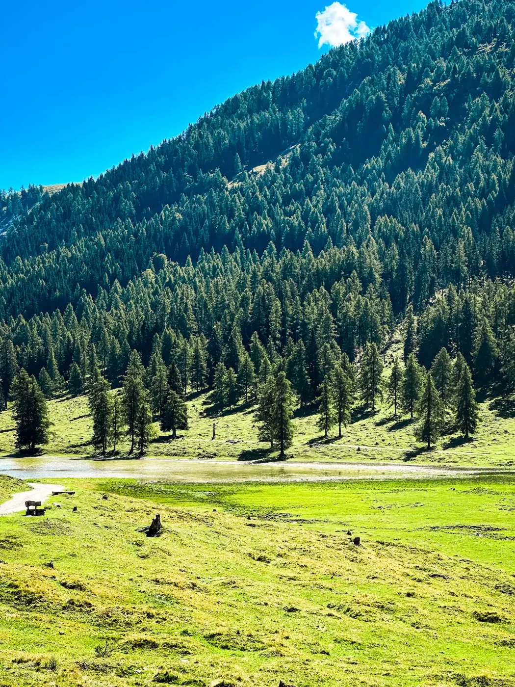 Blick auf den See, welcher sich auf der Egger Alm befindet mit Bergflanke im Hintergrund